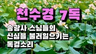 |천수경7독|송광사|스님들의 신심을 불러 일으키는 독경소리|