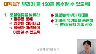 봄에 잘 크던 작물이 초여름부터 낮에 축 처지면 어떻게 해야 할까요? 낮에 처지고 밤에 생생하다면 십중팔구는염류장애 연작장애로 인한 문제입니다