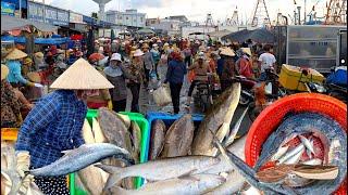 tens of tons of seafood, Vietnamese fishing port market, shrimp, fish, squid.