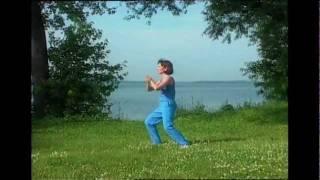 Yang Style Tai Chi, Cheng Man Ch'ing  Form Demonstration