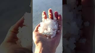 Stop Using Table Salt – Use This Instead