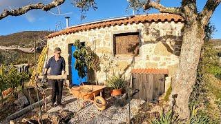 Pergola Plans & Starting the Build - Off Grid DIY Barn Conversion