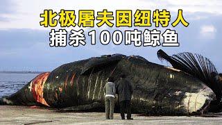 紀錄片：北極屠夫因紐特人，集體捕殺重達100噸的“露骨鯨魚”活剝北極熊，過程太殘忍了#紀錄片 #纪录片解说 #因纽特人#捕鲸 #阿拉斯加 #好奇零零漆 #BBC纪录片 #边缘纪录片#万物有光