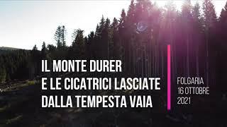 Monte Durer e le cicatrici lasciate dalla tempesta Vaia dal drone.