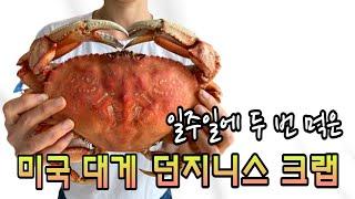 미국 대게 던지니스 크랩 2kg $22!!! 지금 먹으러 갑니다 |  Eating Dungeness crab at home