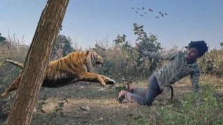 Tiger Attack Man in Forest | Fun Made Movie by Wild Fighter Team #viralvideo #tiger