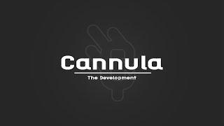 Cannula