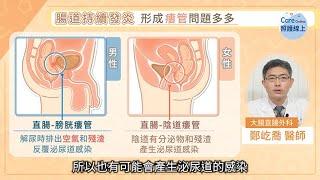 腸道發炎不處理，癌症恐提早上身