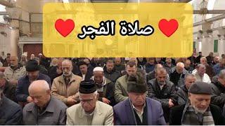 صلاة الفجر من المسجد الاقصى المبارك للشيخ نضال درباس | الاثنين 18-11-2024م