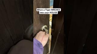 When A Tiger Break iNto Your House  iB: ​⁠@Yara_Goryanskiy #TheManniiShow.com/series