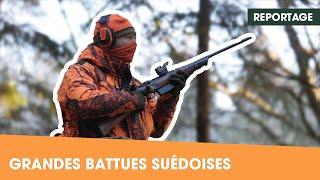 Chasse du grand gibier en battue