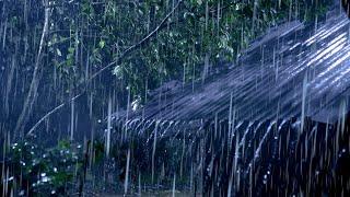 Goodbye Stress to Sleep Instantly with Heavy Rain & Thunder on Old Metal Roof in Rainforest at Night