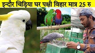 Birds Aviary || Indore Zoo || Chidiya ghar || Pakshi vihar || Indore Zoo Birds Aviary | चिड़िया घर |