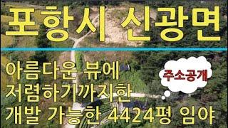 223번 포항시 신광면 흥곡리 밭으로 사용 중이며 개발 가능한 계획관리지역 임야 매매