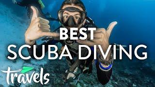 Top 5 Caribbean Scuba Diving Destinations | MojoTravels