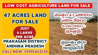 47 acres low cost agricultural land for sale in andhra pradesh || land for sale in prakasam district