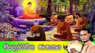 නිගෝධමිග ජාතකය | Viridu Bana | M V Gunadasa