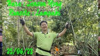 Hare : Jenson Yong 。Runsite : Lampaki 。25/06/23。Run 987 。 Ayam Mas Jungle Trekker Hash House.