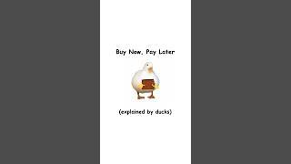 Buy now pay later (explained by ducks)