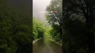 Dil Deewana  Beautiful Nature status video #shorts #nature #short #ride