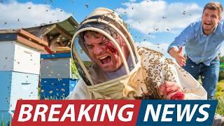 Shocking !Recent Bee Attacks Has The Whole World On Edge