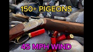 EXTREME WIND I Pest control Pigeon shooting