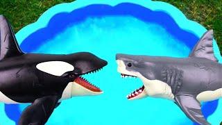 Wild Animal and Sea Animal Toys - Learn Animal Names #30