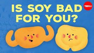 Is soy bad for you? - Francesca Bot