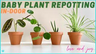 New to Indoor Plants Repotting ? Start here...