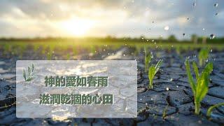 12月5日禱告之約：神的愛如春雨，滋潤乾涸的心田神是愛|禱告詞|禱告大全：生活，家庭，愛情，工作，情感，親子，財務|12月5日祷告之约：神的爱如春雨，滋润干涸的心田|神是爱|上帝