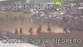 Jose Robles "El Guacho" - Caballo Nuevo Piedrero
