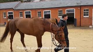 Emma Lavelle Stable Visit 24th March 2018