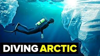 The HIDDEN Life Of The Arctic Ocean. Underwater Creatures