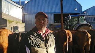 Calving shed preparation and tour