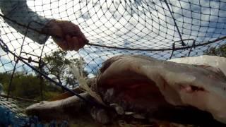 Fishing for Mud Crabs - REEL ACTION TV