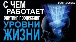 С чем работает процессинг? Уровни жизни | Форер Любовь