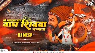 Bapacha Baap Wagh Shivba - DJ NeSH | Chhatrapati Shivaji Maharaj DJ Song