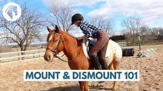 How to Mount and Dismount a Horse (Like a Professional)