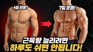 헬스 무조건 '매일'하세요! 근손실..ㄷㄷ (벌크업을 위한 7일운동 루틴/프로그램)