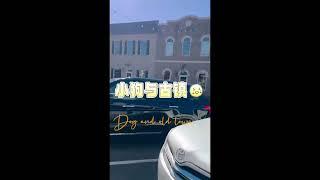 我爸爸妈妈的生活掠影4 A Glimpse of My Parents’ Lives 小狗与古镇 Dog and Old Town