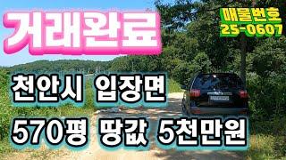 "땅값이 5천만 원!  570평 주말농장용 끝판왕 땅 등장"