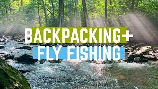 Backpacking and Fishing in the Great Smoky Mountains National Park (Wild Trout!!)