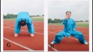 Dr Lynn WEI (Linn) teaches QiGong in Belgium, movement 6 and 7.