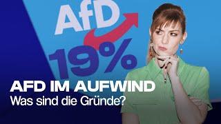 Warum wollen viele Menschen AfD wählen? | Deutschland3000 - Die Woche mit Eva Schulz