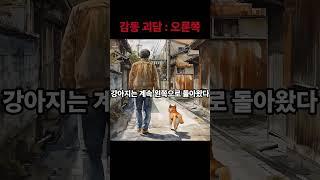 무서운이야기 감동괴담 오른쪽 #shorts