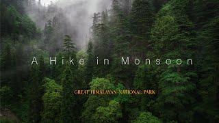 A Hike in Monsoon