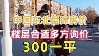 中国东北盘锦市，房子只要300一平，实地探房多方询价【鬼头看房】