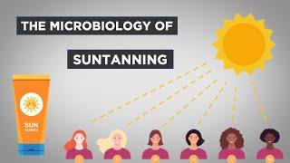 Evo-Ed: The Microbiology of Suntanning