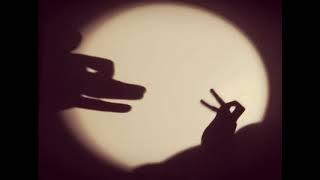 Amazing hand shadow performance - a wolf chases a rabbit through the woods!