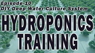 Hydroponics Training - Episode 10 (DIY Hydroponics Deep Water Culture) Hydroponic Farming Training